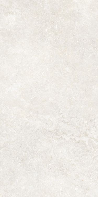 Untamed Wander White 24 x 48